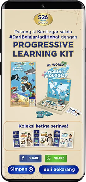 Solution Formats