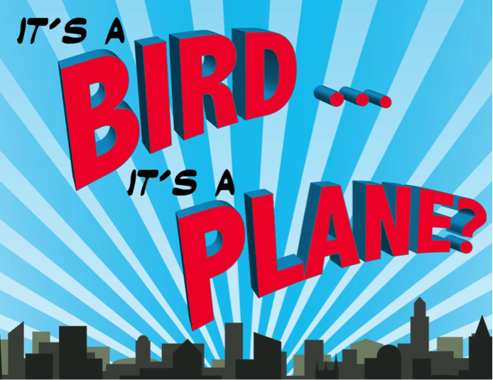It’s a Bird... It’s a Plane